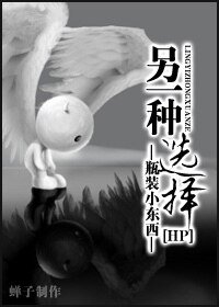 《(HP同人)另一种选择》