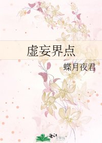 虚妄界点