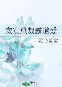 寂寞总裁霸道爱